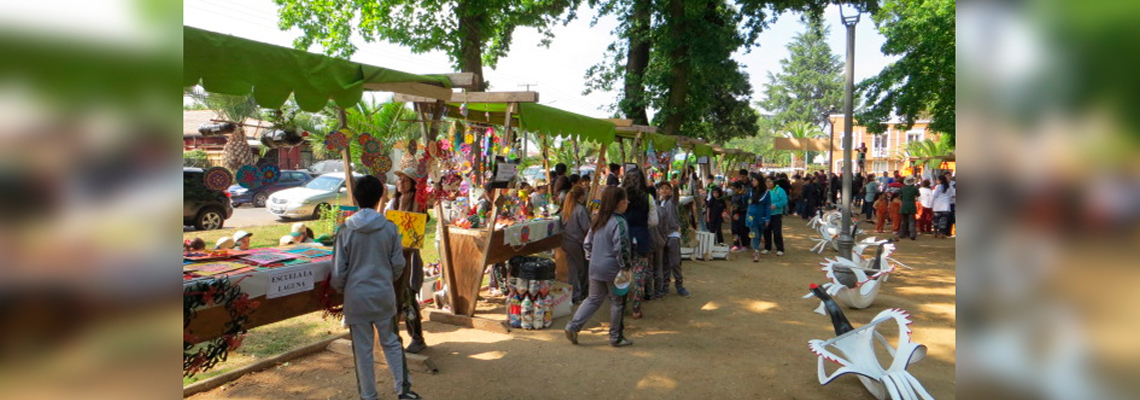 Feria Ecológica en comuna de Teno